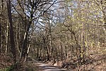 Naturschutzgebiet Heimfelder Holz