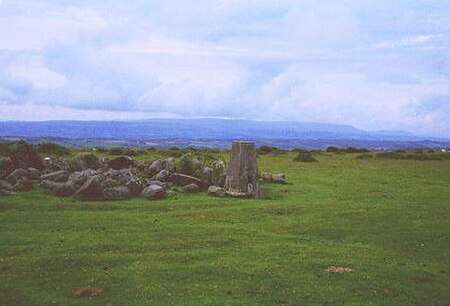 Hergest Ridge top