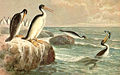 Hesperornis por Heinrich Harder (1916).