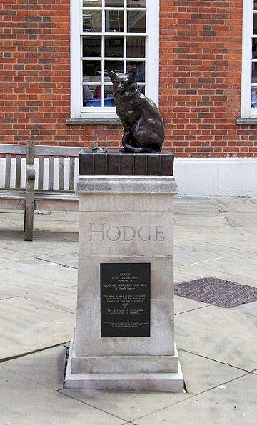 Hodge (cat)