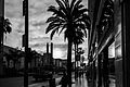 Hollywood Boulevard (19526775190).jpg