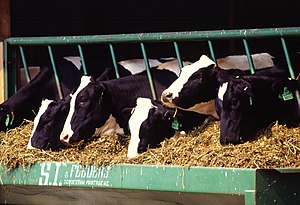 O uso de somatotropina bovina recombinante possibilita incrementos de até 20% na produção de vacas leiteiras, é um dos produtos veterinários mais estudados da história e é atestado pela FAO e Organização Mundial da Saúde como seguro na alimentação humana.