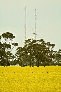 <span class="mw-page-title-main">Hoppers Crossing, Victoria</span> Suburb of Melbourne, Victoria, Australia