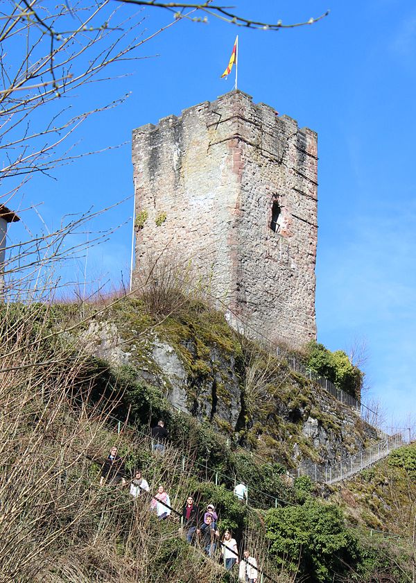 Schloss Hornberg (Schwarzwald)