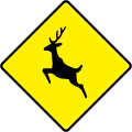 Deer or wild animals on road