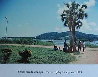 <span class="mw-page-title-main">Zongo, Sud-Ubangi (DR Congo)</span> City in Sud-Ubangi, DR Congo