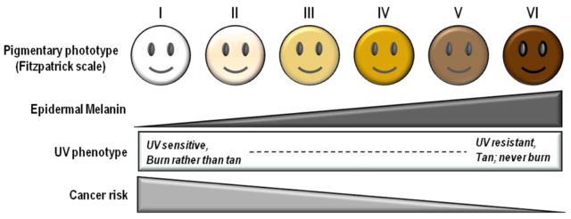 skin tone chart with names