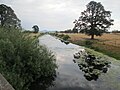 Irrigation canal near Fern Ridge Reservoir (7965500578).jpg