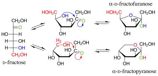 File:Isomeric forms of fructose.svg