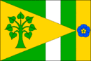 Bandiera di Janův Důl