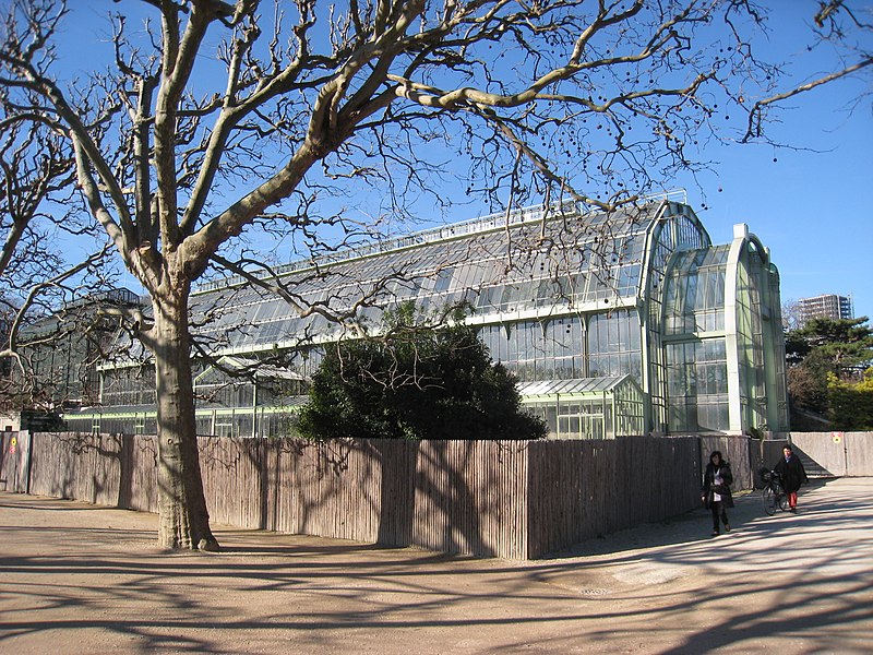 File:Jardin des Plantes de Paris - glass house.JPG