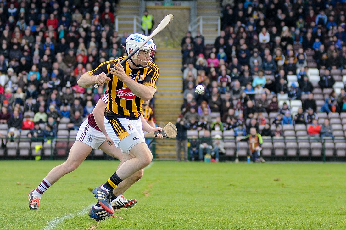 Kilkenny GAA