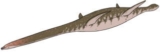 <i>Jucha</i> Extinct genus of reptiles