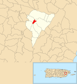 Juncos barrio-pueblo, Juncos, Puerto Rico locator map.png