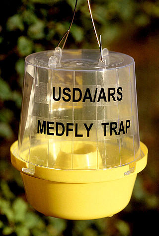 <span class="mw-page-title-main">Insect trap</span> Device used to monitor or reduce insect populations