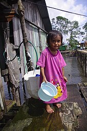 A Seletar girl in Pasir Gudang, Johor. Kampung Orang Asal Seletar, Pasir Gudang (11450572114).jpg