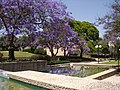 Il parco centrale di Kfar Saba in primavera.