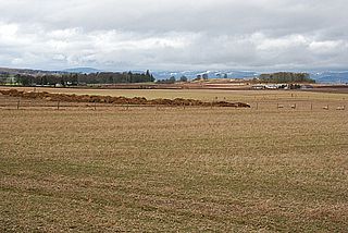 <span class="mw-page-title-main">Kirkbuddo</span> Human settlement in Scotland