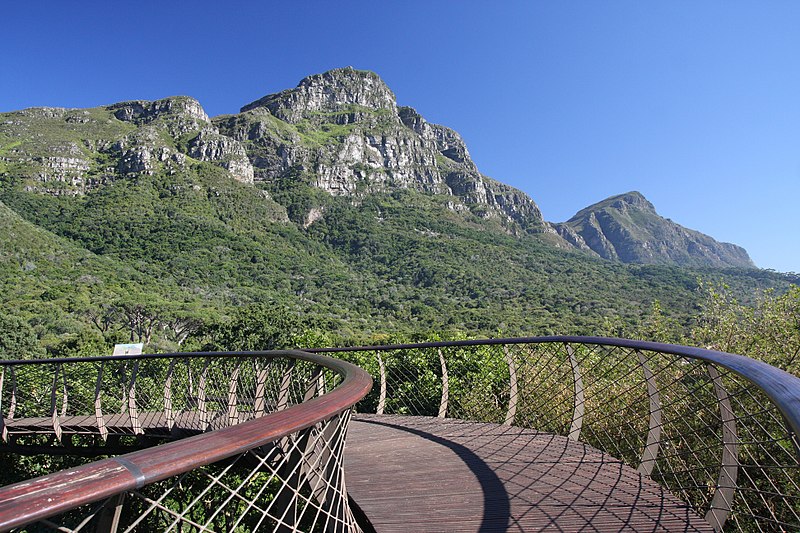 File:Kirstenbosch National Botanical Garden, Cape Town (32533368562).jpg