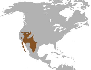 Descrierea imaginii Kit Fox range.png.