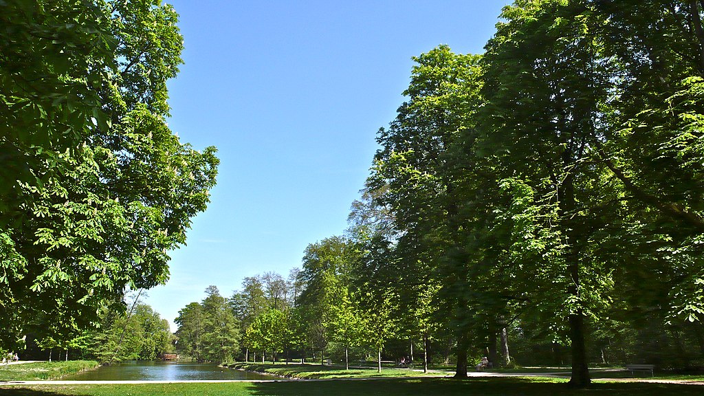 Kleiner Inselweiher 2019