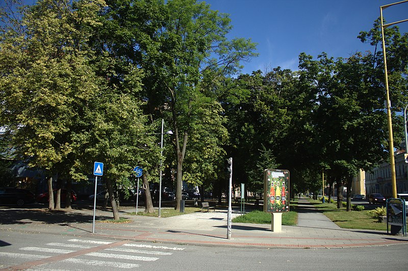 File:Košice, Moyzesova.jpg