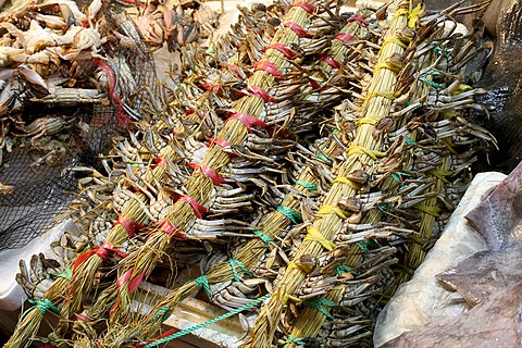 Live crab for sale at a market