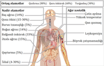 Thumbnail for File:Koronavirus 2019 simptomları.png