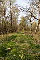 * Nomination Nature reserve “Gagelbruch Borkenberge”, Lüdinghausen, North Rhine-Westphalia, Germany --XRay 04:29, 15 May 2016 (UTC) * Promotion  Support Good quality. --Johann Jaritz 04:37, 15 May 2016 (UTC)