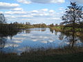 Lüscher Polder