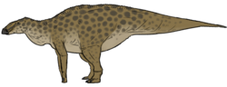 Laiyangosaurus youngi.png