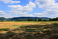 Čeština: Pohled od židovského hřbitova v Malé Šitboři, části Milíkova směrem na východ. Vlevo údolí Podleského potoka. English: View from Jewish cemetery by Malá Šitboř, part of Milíkov village, Czech Republic, to the east