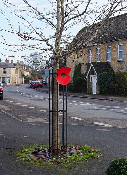 File:Large poppy, High Street, Bampton, Oxon - geograph.org.uk - 6030893.jpg