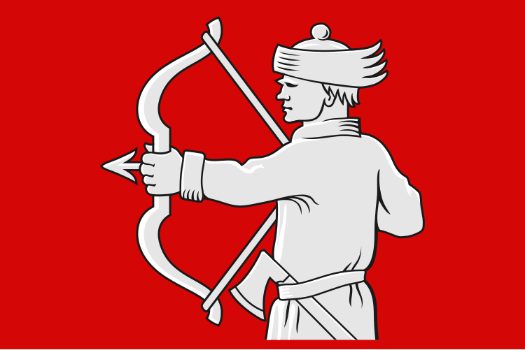 File:Lieksa lippu.svg