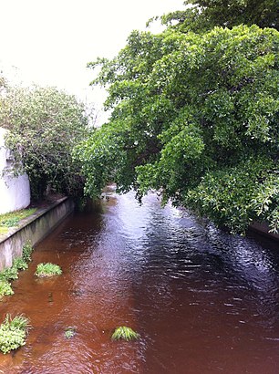 How to get to Liesbeek River with public transport- About the place