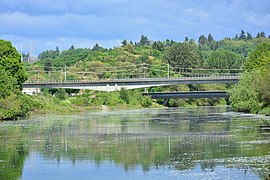 Looking upstream from Tukwila International Boulevard to where Sound Transit Link Light Rail and (on the low bridge) East Marginal Way S. cross the river.