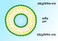 Thumbnail for version as of 14:55, 22 January 2024