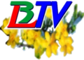 Logo Tết BLTV Bạc Liêu tháng 2 năm 2018