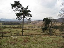 View from the A6187 road Longshaw Estate View from A6187 - geograph.org.uk - 752272.jpg