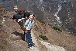 Luza, Machhermo, Sherpa boy, Nepal.jpg