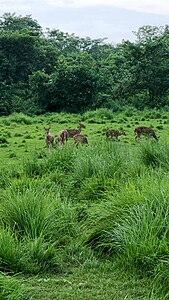 Photowalk Event in Chitwan