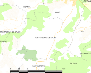 Poziția localității Montgaillard-de-Salies