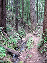 Ben Lomond (Californie)