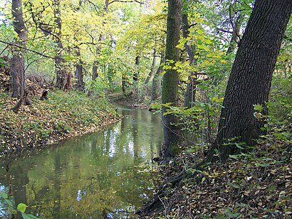 Jak do Přírodní Památka Meandry Botiče hromadnou dopravou - O místě