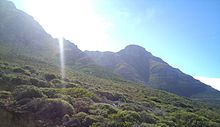 Peninsula Sandstone Fynbos on the mountain slopes of Miller's Point