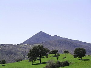 Monte Gonare