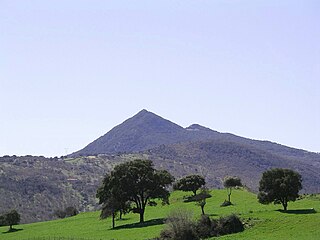 <span class="mw-page-title-main">Monte Gonare</span> Mountain in Sardinia, Italy