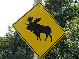 Moose crossing sign on Highway 10 in the park