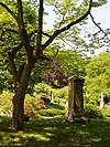 Кладбище Mount Auburn