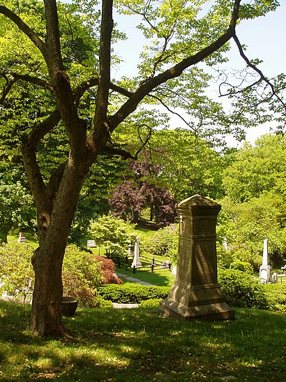 How to get to Mount Auburn Cemetery with public transit - About the place